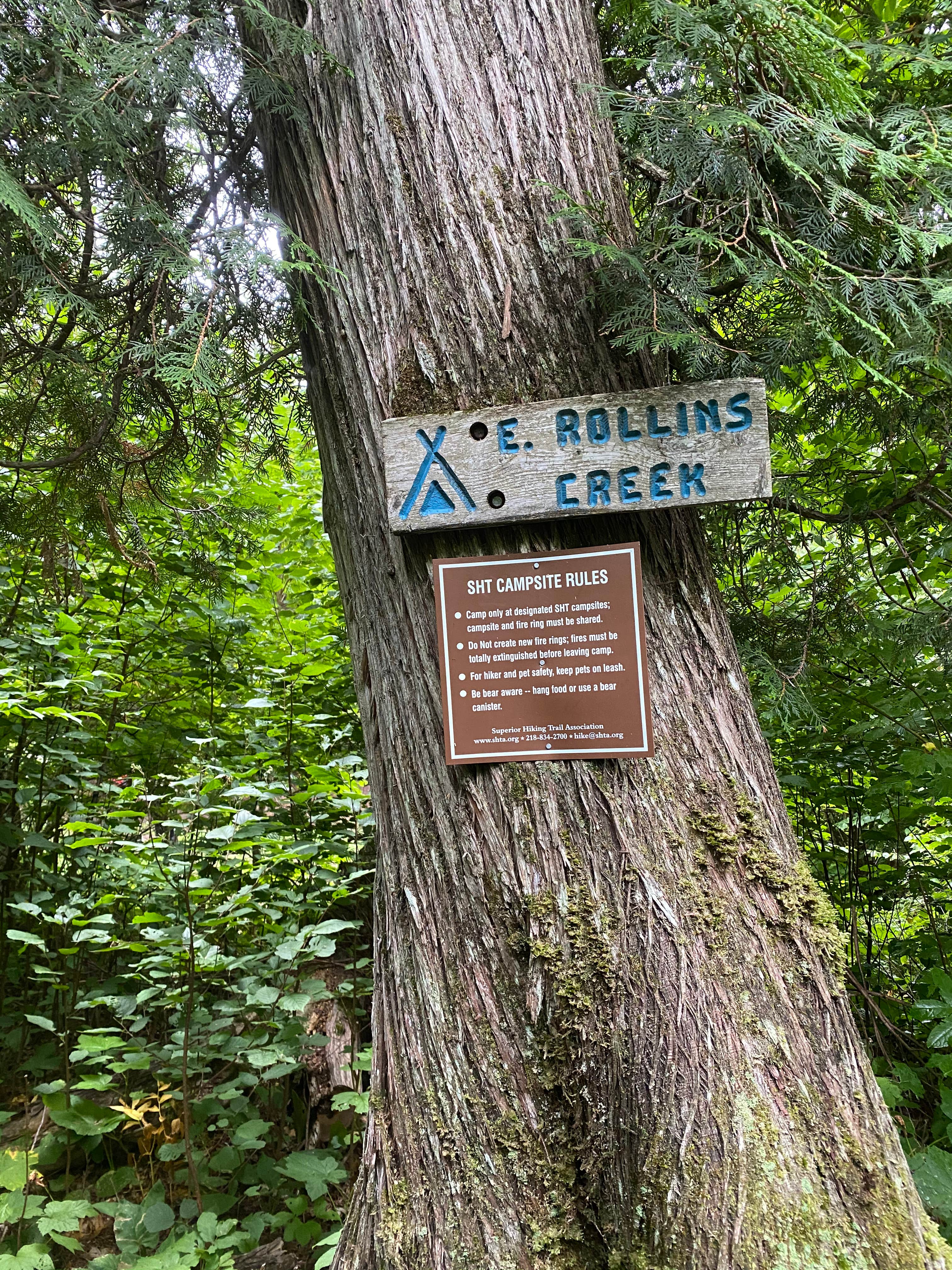 Camper submitted image from East Rollins Creek, Superior Hiking Trail  - 2