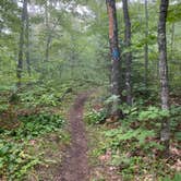 Review photo of East Rollins Creek, Superior Hiking Trail by Steph H., September 15, 2020