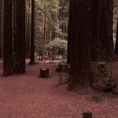 Review photo of Burlington Campground — Humboldt Redwoods State Park by Nicholas F., September 15, 2020