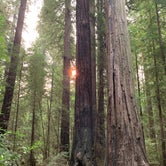 Review photo of Burlington - Humboldt Redwoods State Park by Nicholas F., September 15, 2020