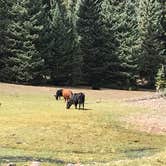 Review photo of LeBaron Reservoir Campground by Brittney  C., September 7, 2020