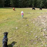 Review photo of LeBaron Reservoir Campground by Brittney  C., September 7, 2020