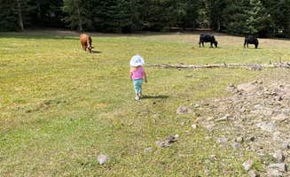 Brittney  C.'s photo of camping with pets at LeBaron Reservoir Campground near Cove, UT