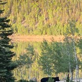 Review photo of Kents Lake Campground by Brittney  C., September 7, 2020