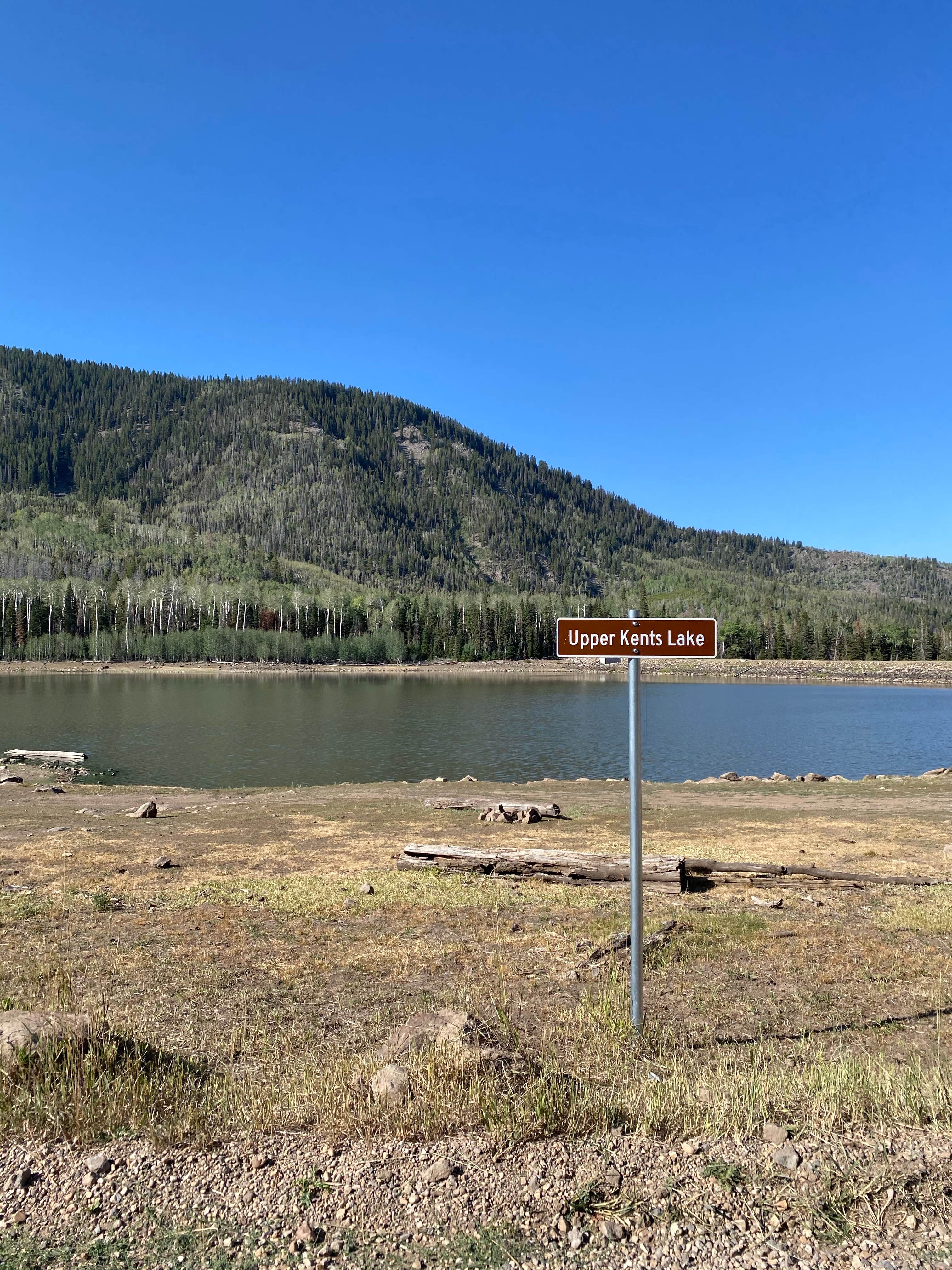 Signs & Maps