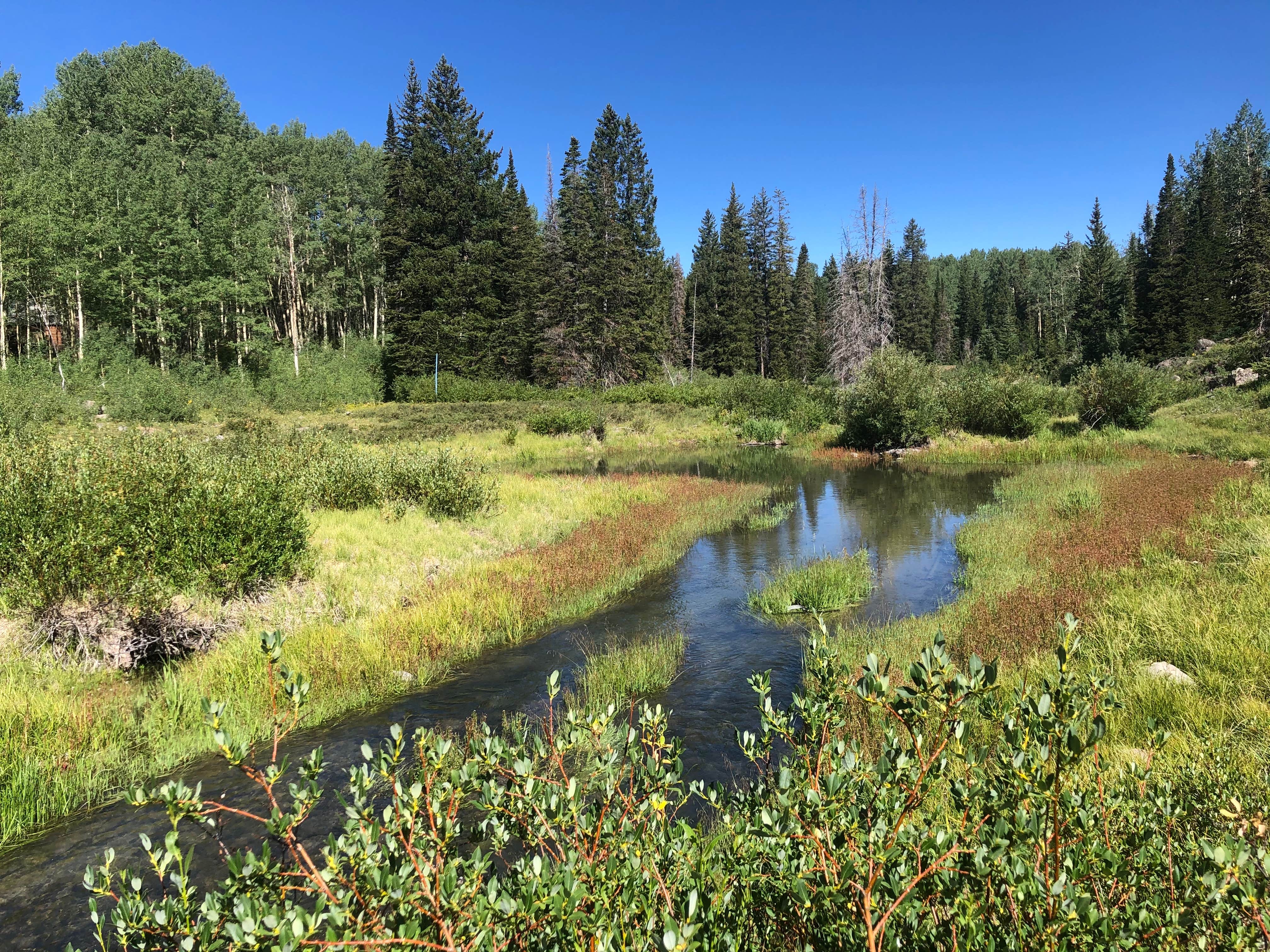 Camper submitted image from Jumbo Campground — Jumbo Reservoir State Wildlife Area - 5