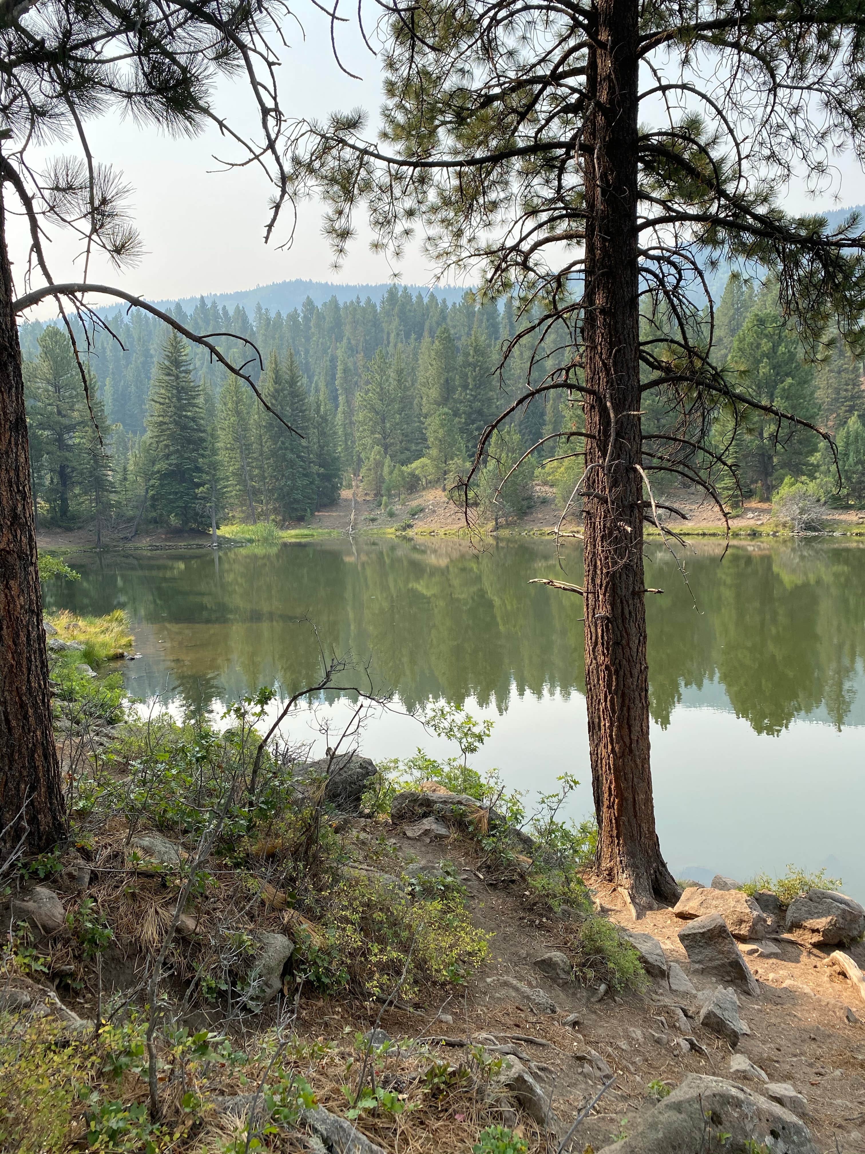 Camper-submitted photo at Little Reservoir Campround — Fishlake National Forest near Beaver, UT