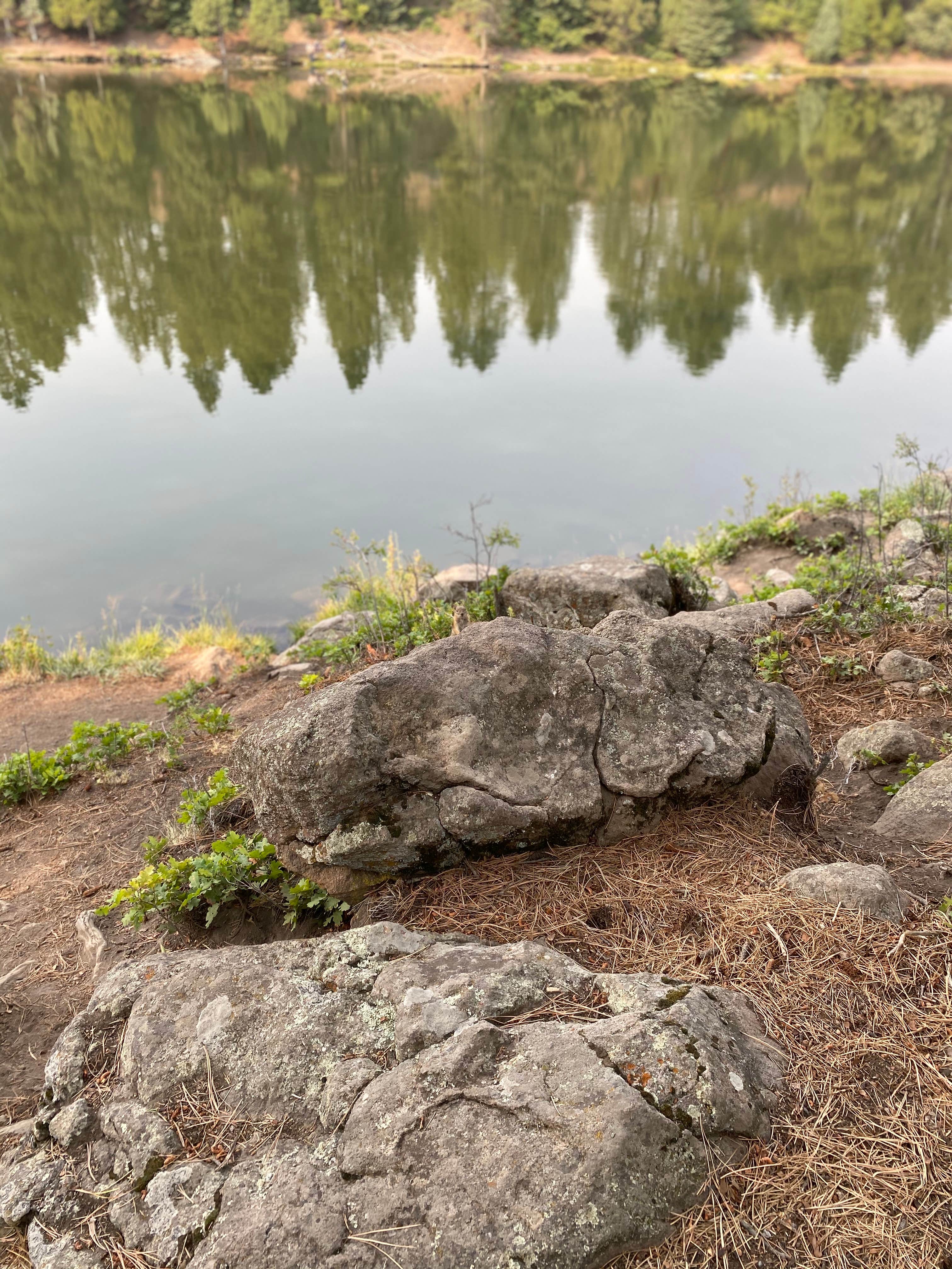 Camper-submitted photo at Little Reservoir Campround — Fishlake National Forest near Beaver, UT