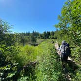 Review photo of Jonvick Creek Campsite by Steph H., September 15, 2020