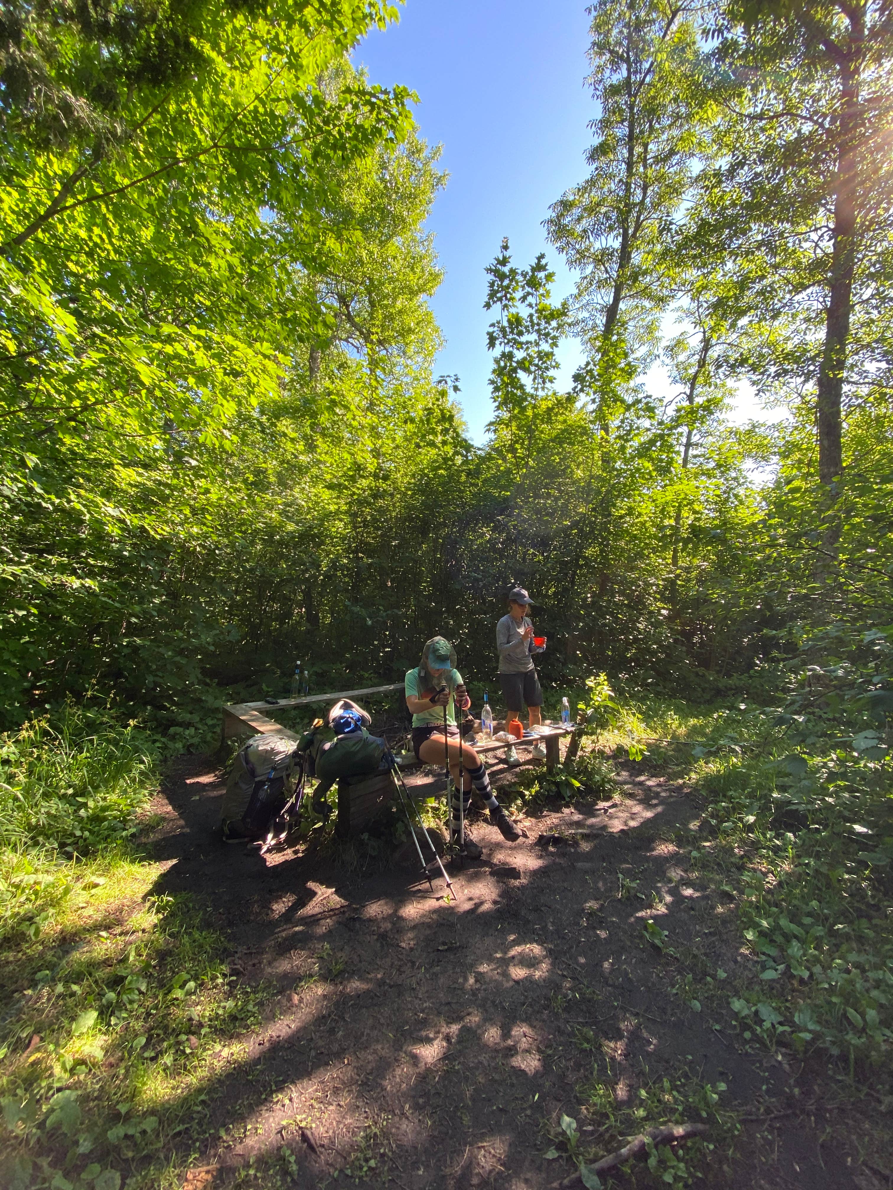 Camper submitted image from Jonvick Creek Campsite - 3