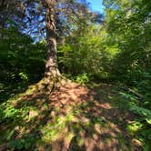 Review photo of Jonvick Creek Campsite by Steph H., September 15, 2020