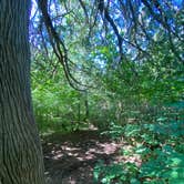 Review photo of Jonvick Creek Campsite by Steph H., September 15, 2020