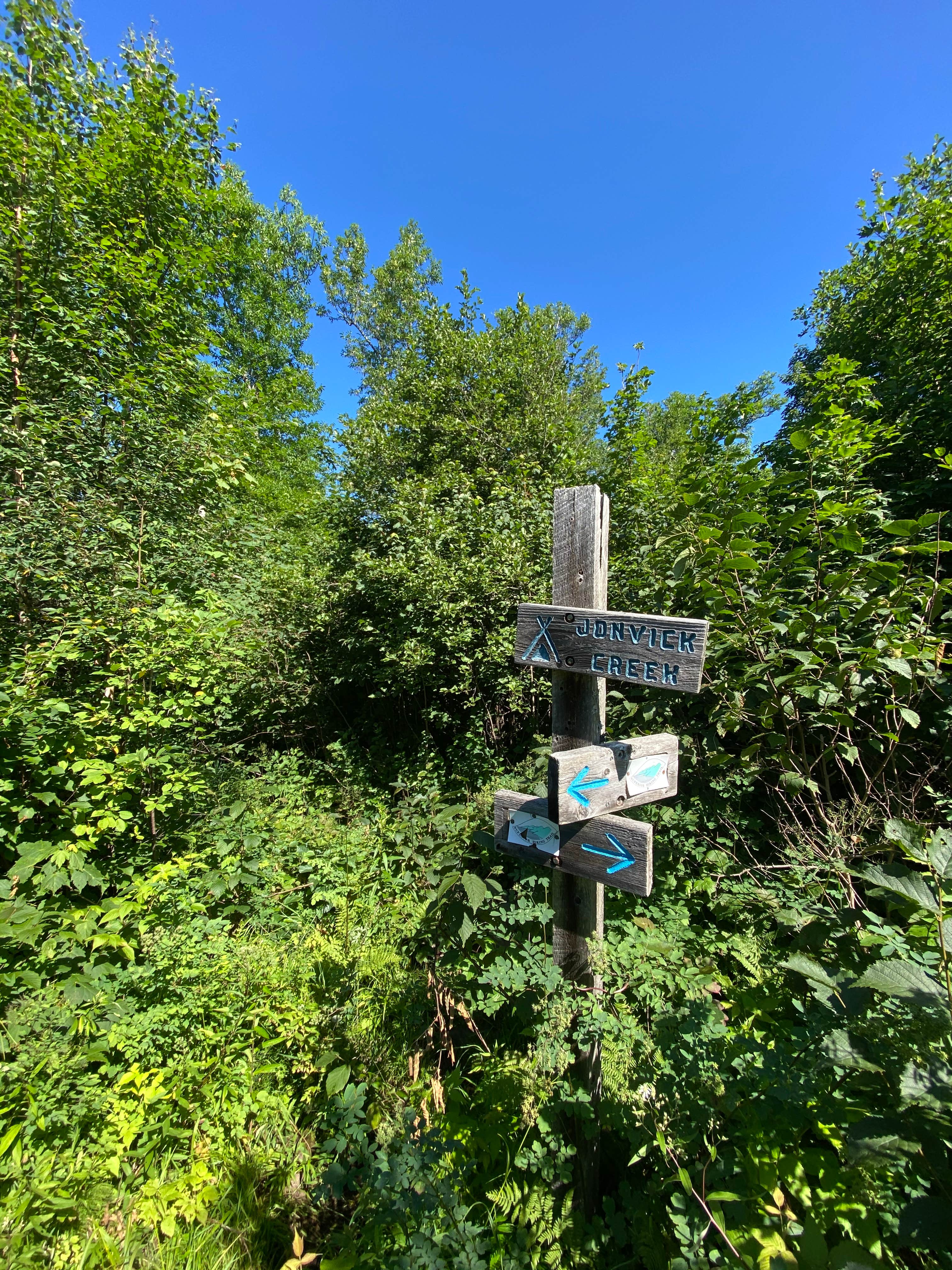 Camper-submitted photo at Jonvick Creek Campsite near Tofte, MN