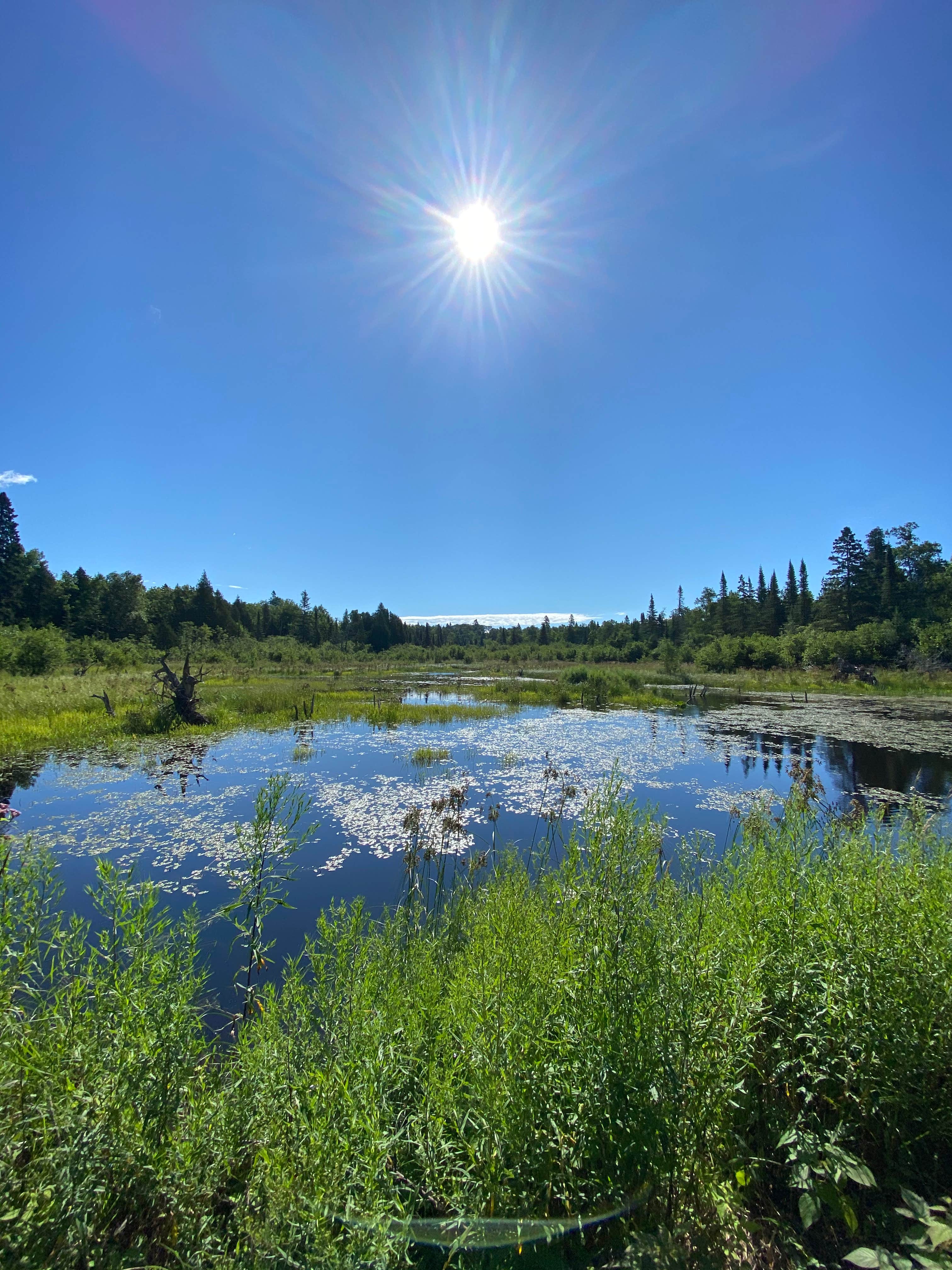 Camper-submitted photo at Jonvick Creek Campsite near Tofte, MN