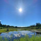 Review photo of Jonvick Creek Campsite by Steph H., September 15, 2020