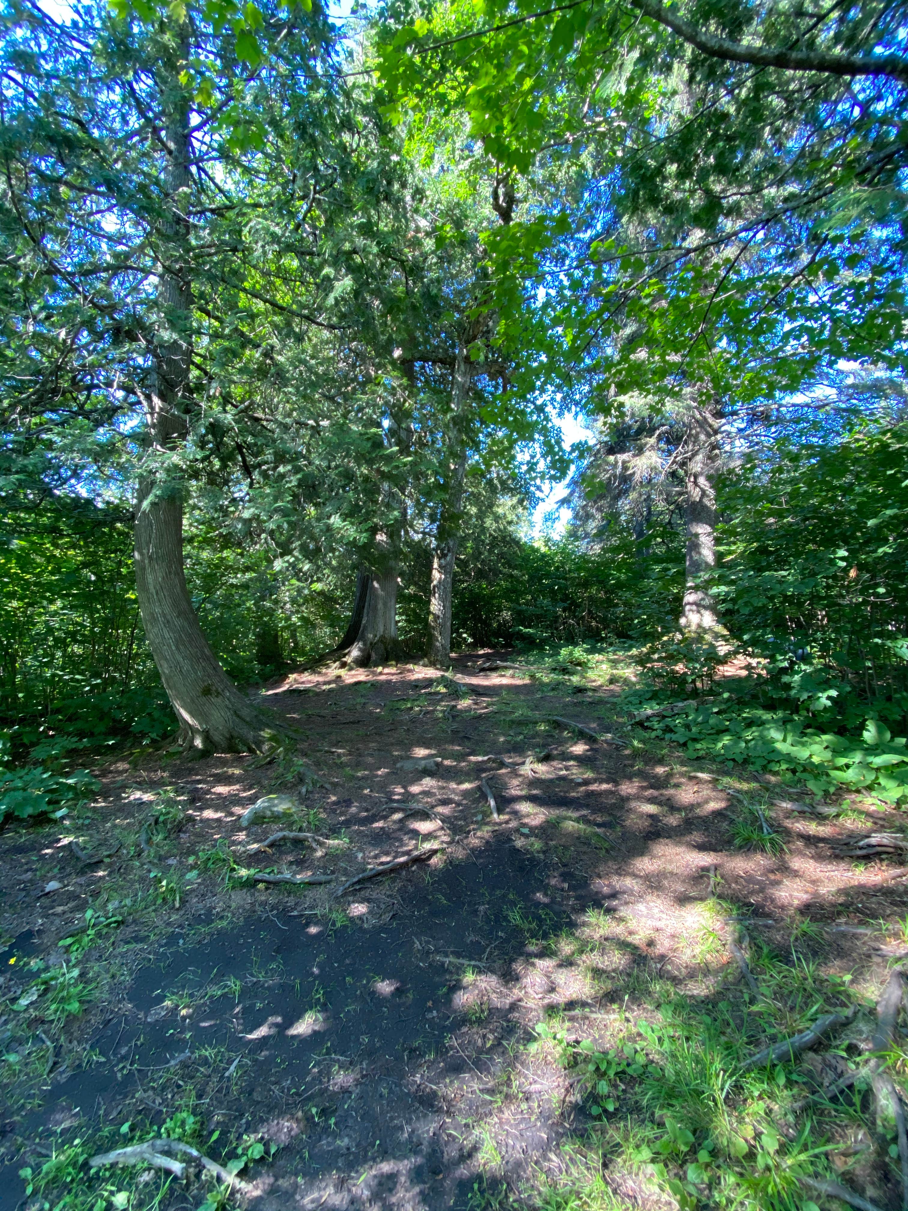 Camper-submitted photo at Jonvick Creek Campsite near Tofte, MN