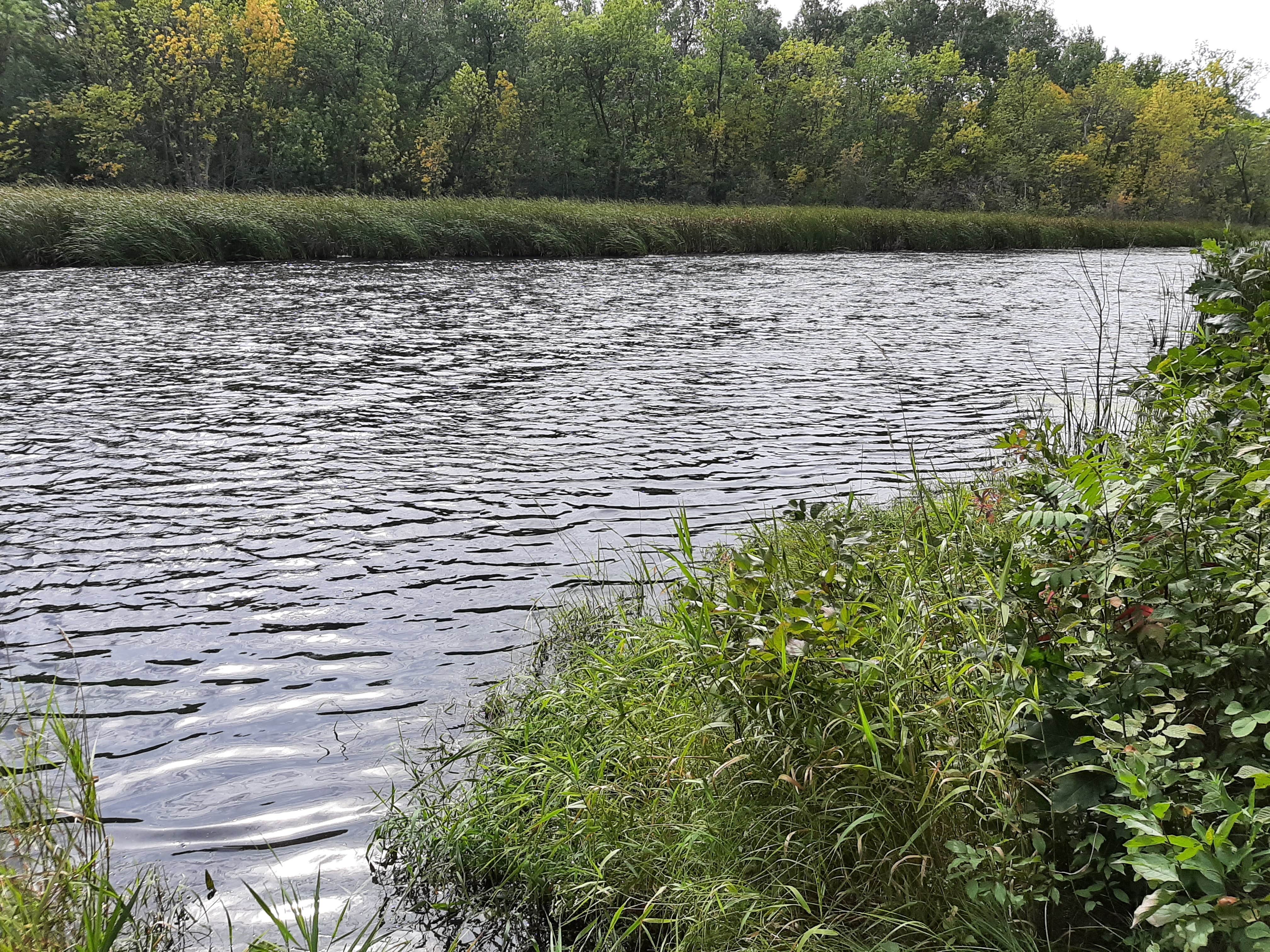 Camper-submitted photo at Paul Bunyan Trail Canoe Campsite near Staples, MN
