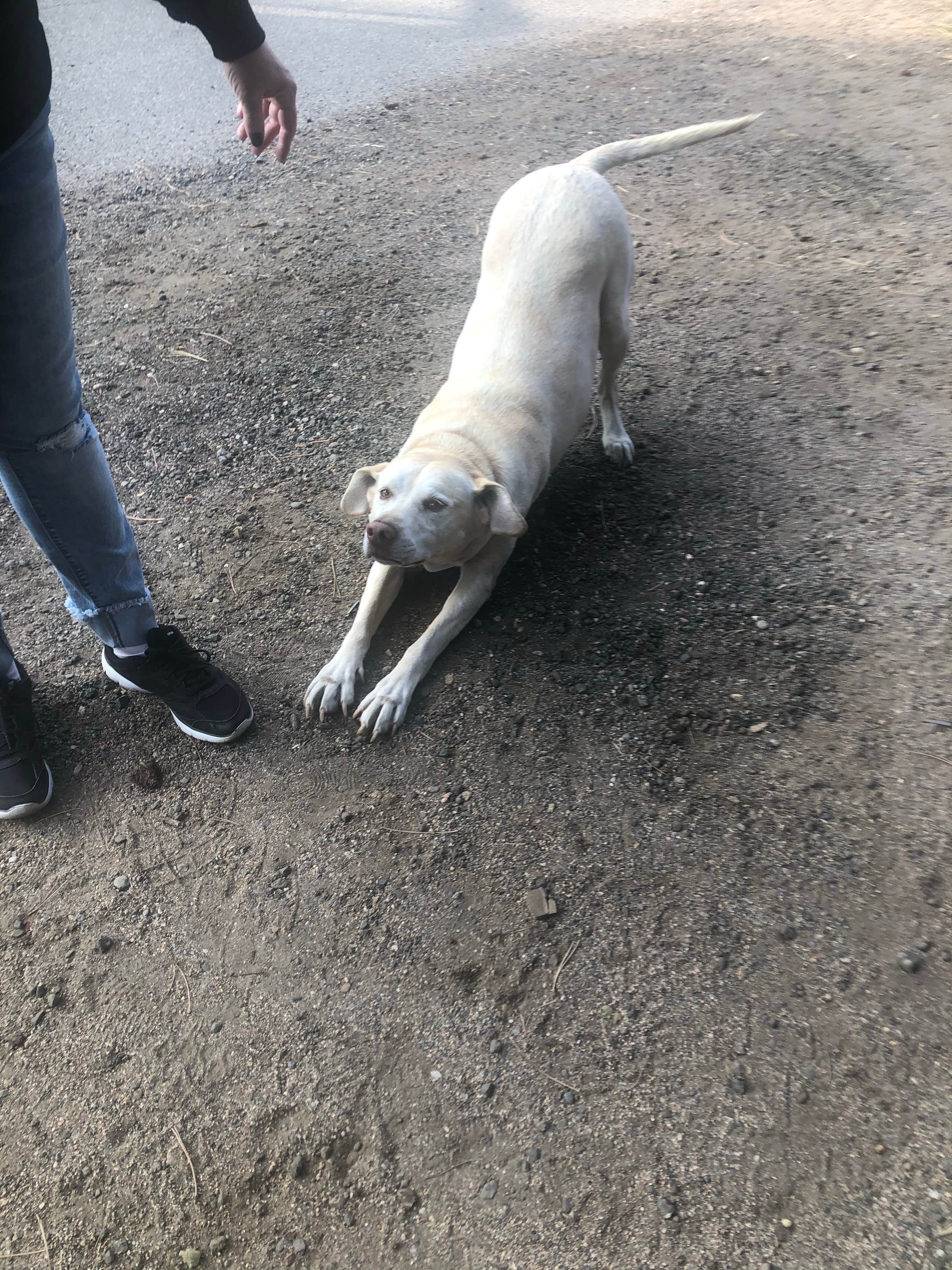 Camper-submitted photo at Yogi Bear's Jellystone Park at Estes Park near Hygiene, CO