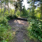 Review photo of Camp Creek (formerly Indian Camp Creek), Superior Hiking Trail by Steph H., September 15, 2020