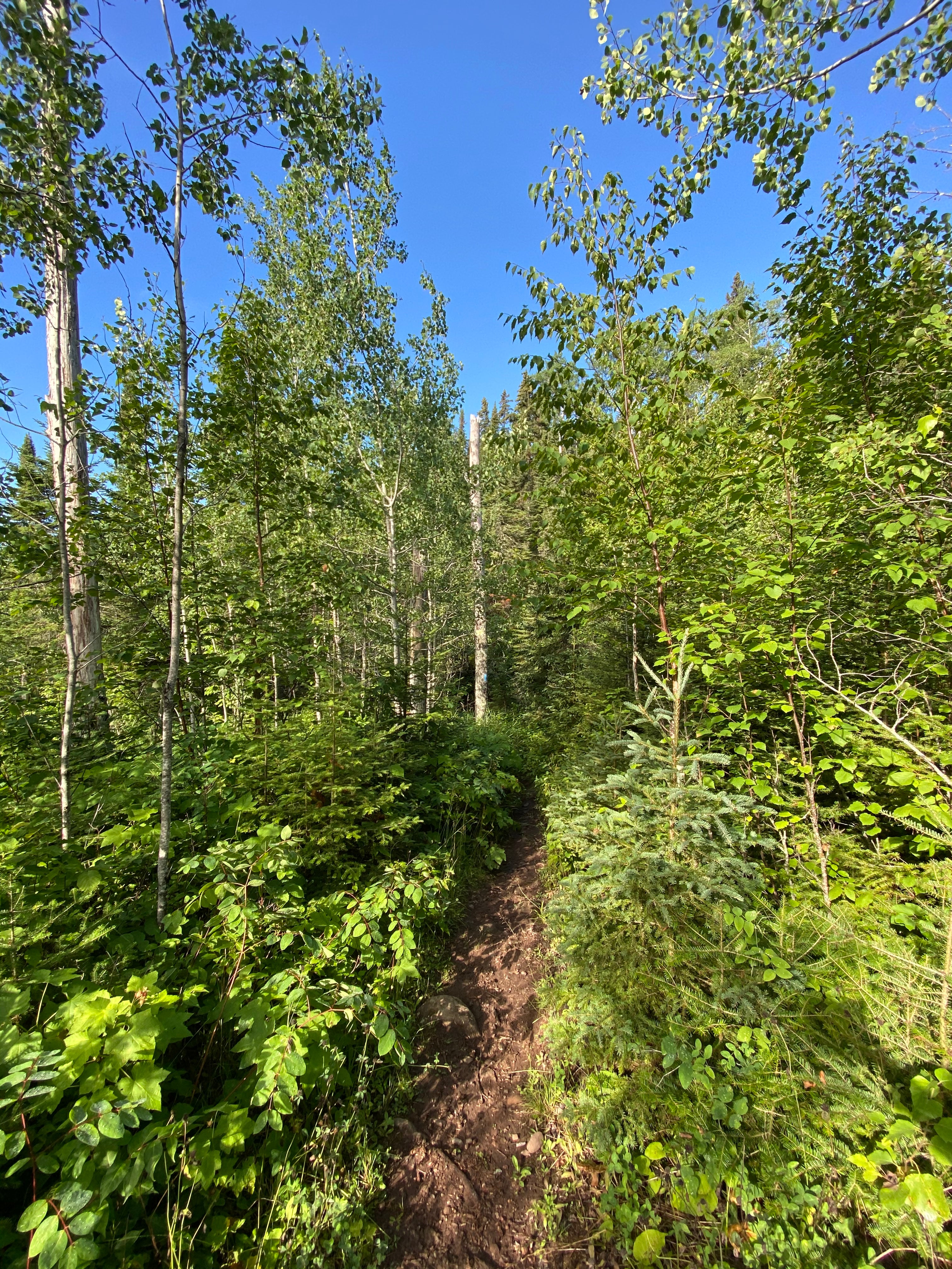 trail into camp