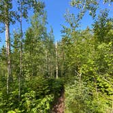 Review photo of Camp Creek (formerly Indian Camp Creek), Superior Hiking Trail by Steph H., September 15, 2020