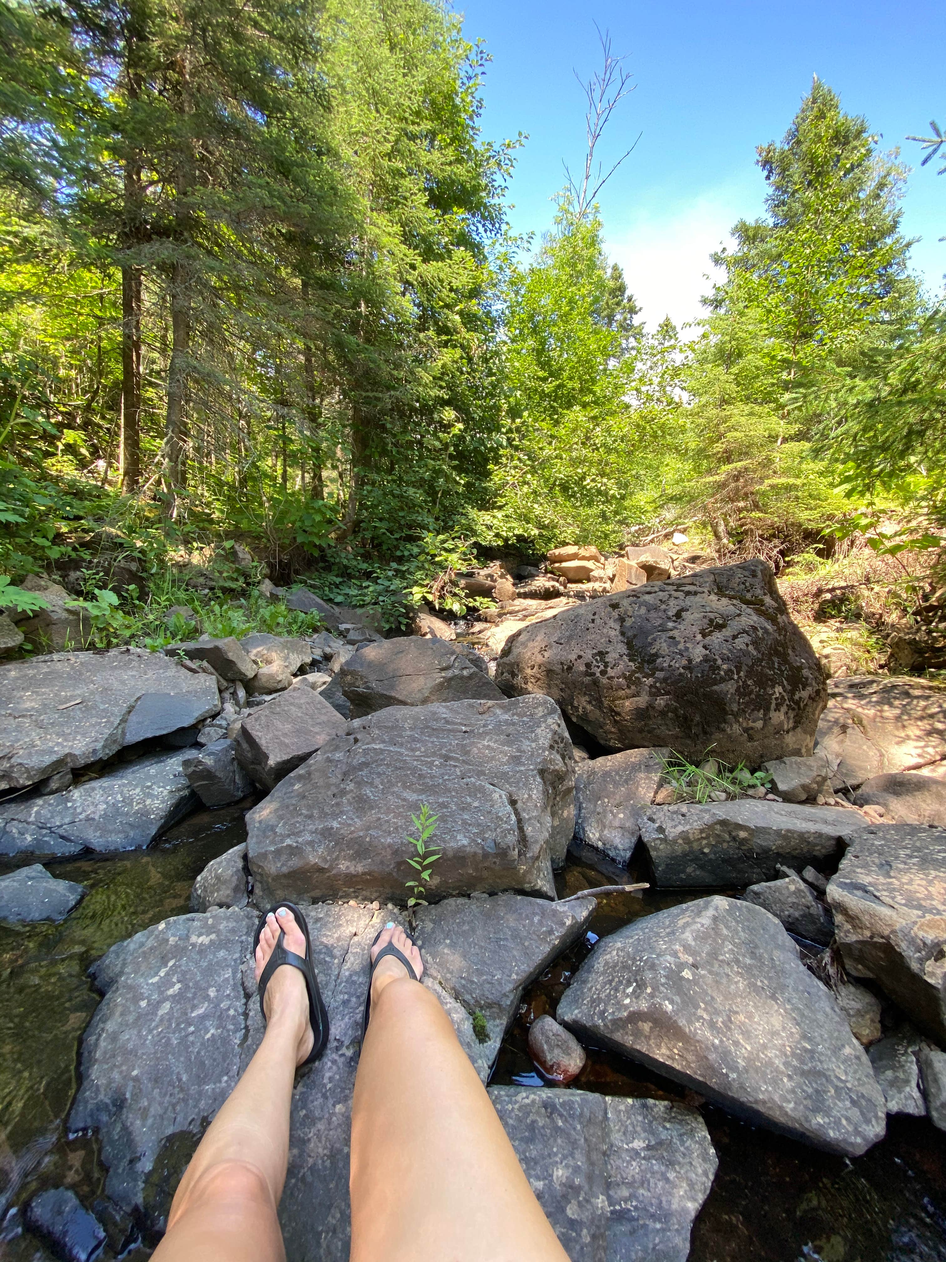 Camper submitted image from Camp Creek (formerly Indian Camp Creek), Superior Hiking Trail - 1