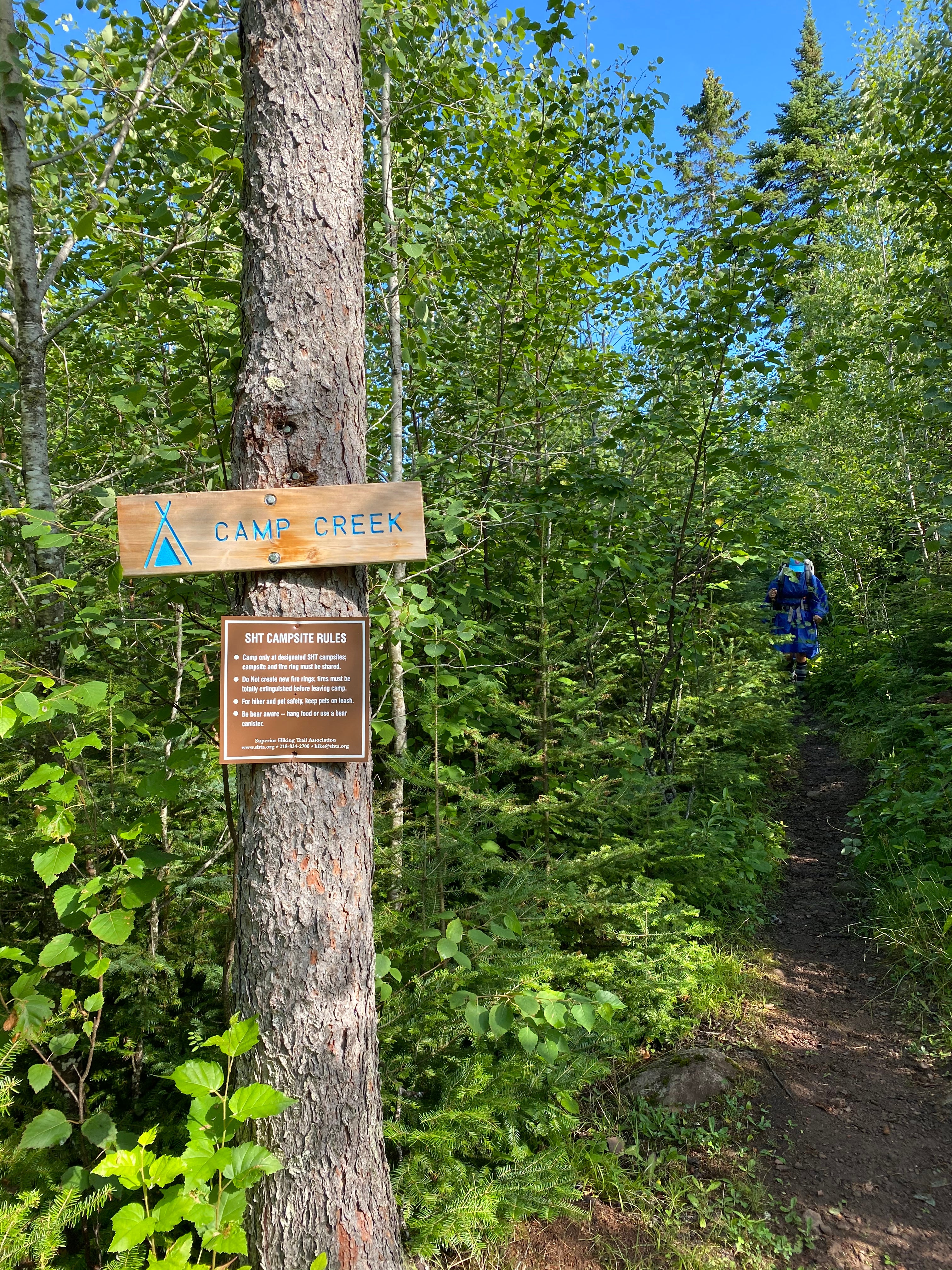 Camper submitted image from Camp Creek (formerly Indian Camp Creek), Superior Hiking Trail - 2