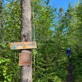 Review photo of Camp Creek (formerly Indian Camp Creek), Superior Hiking Trail by Steph H., September 15, 2020
