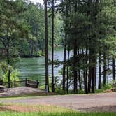 Review photo of Upper Stamp Creek Campground by Glenn M., September 15, 2020