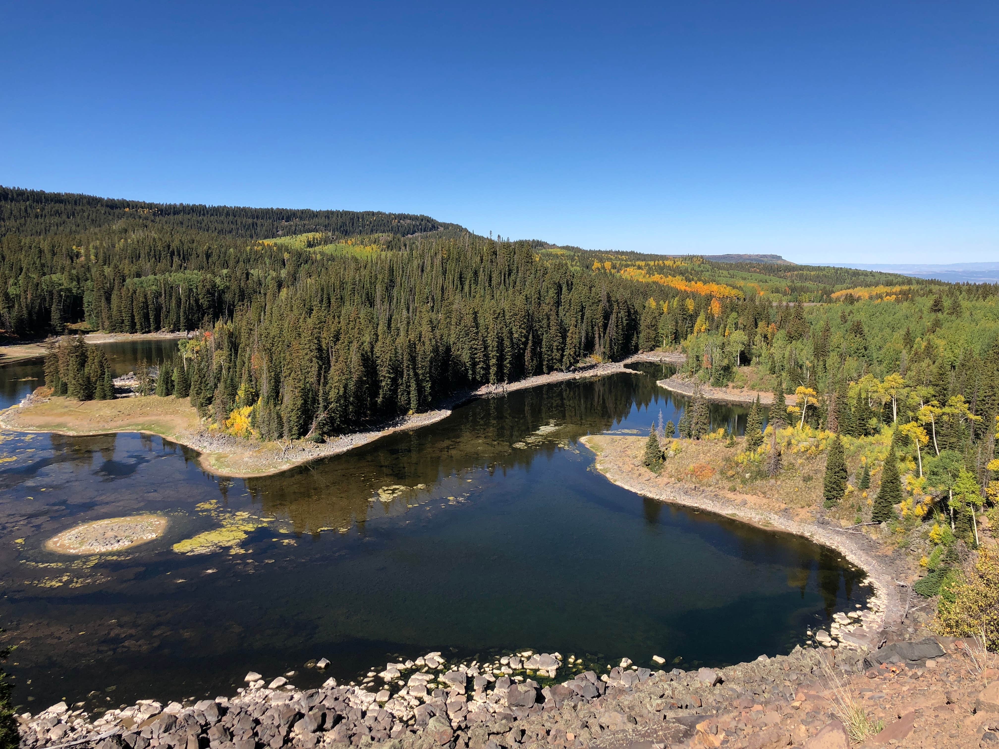 Escape to the Wild: Your Guide to Colorado's Jumbo Campground