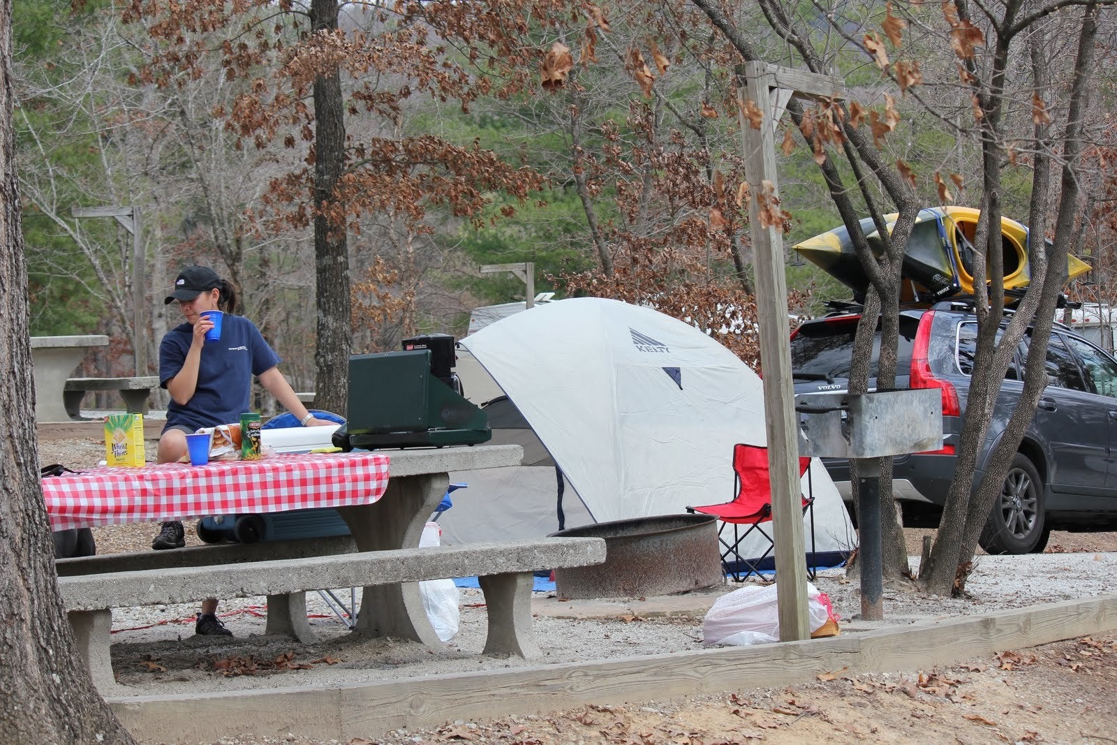 Camper submitted image from Tallulah Gorge State Park - 5