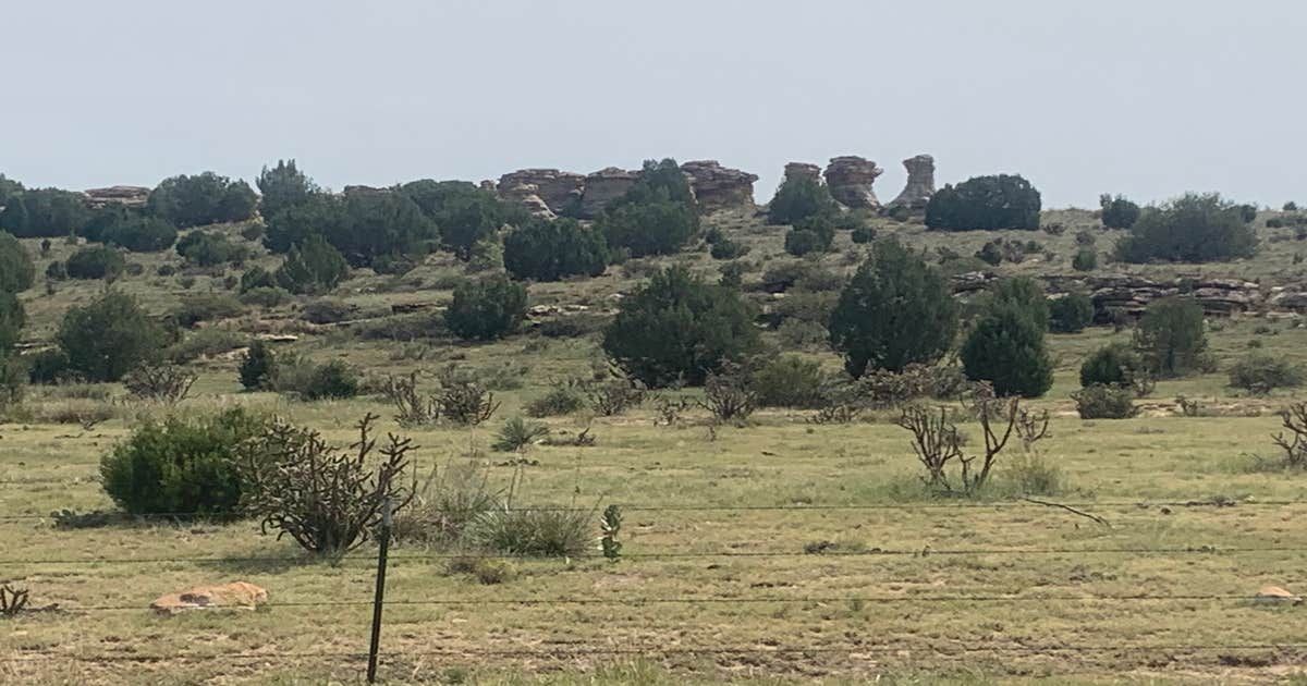 Black Mesa State Park Campground - Main photo