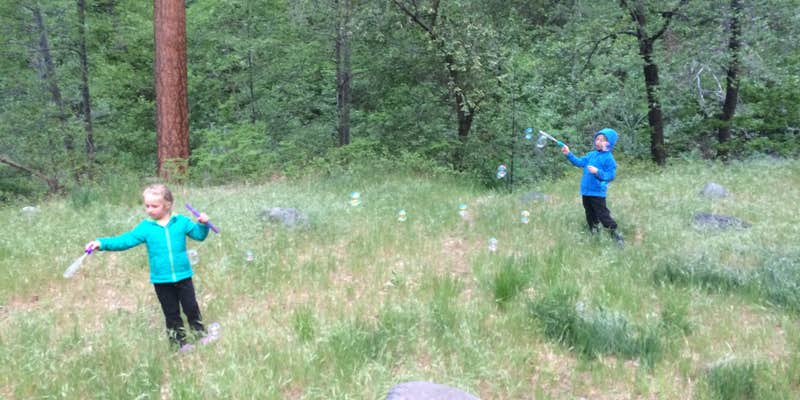 Camper submitted image from Oak Creek Campsites