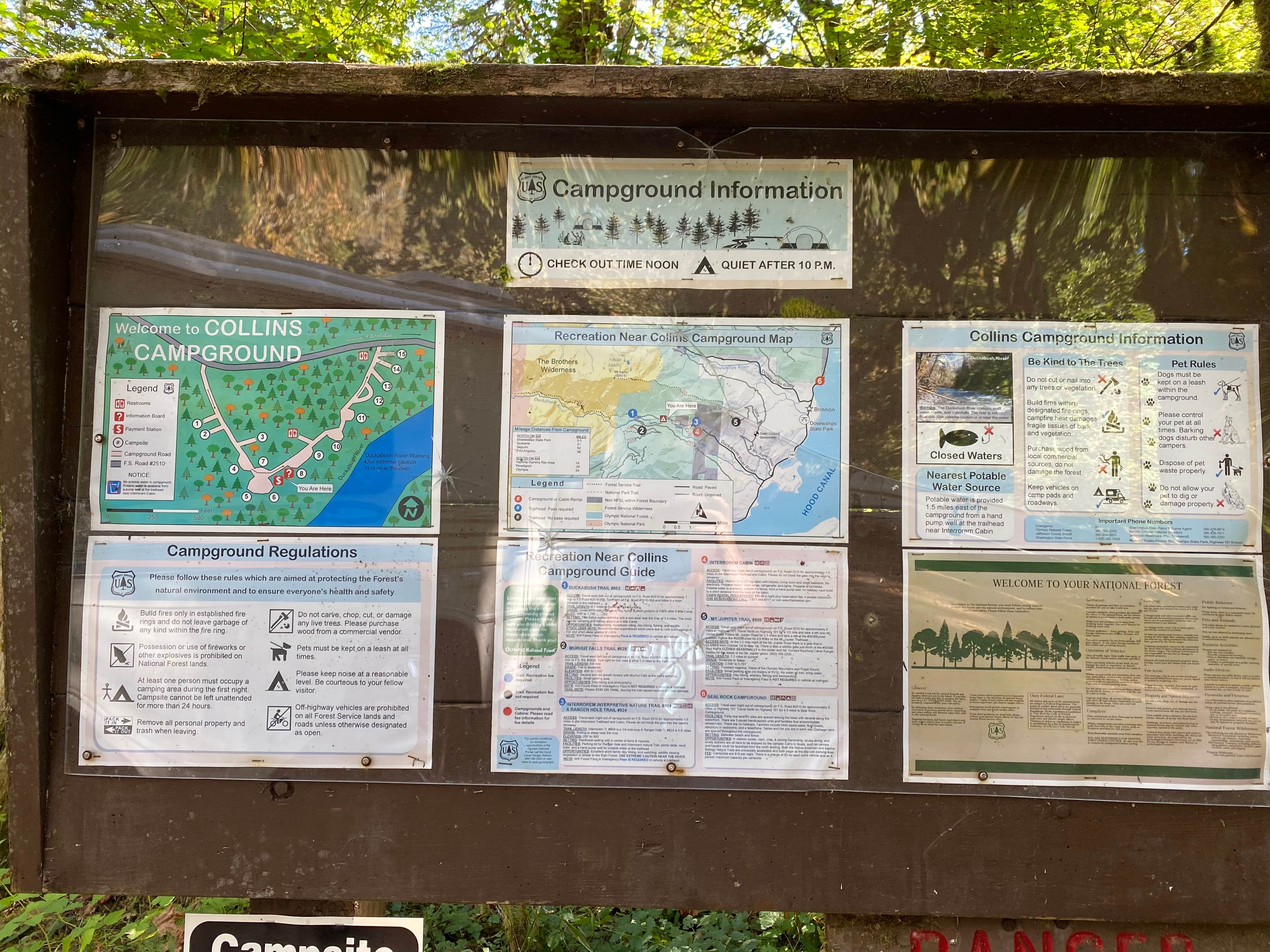 Camper-submitted photo at Collins Campground near Everett, WA