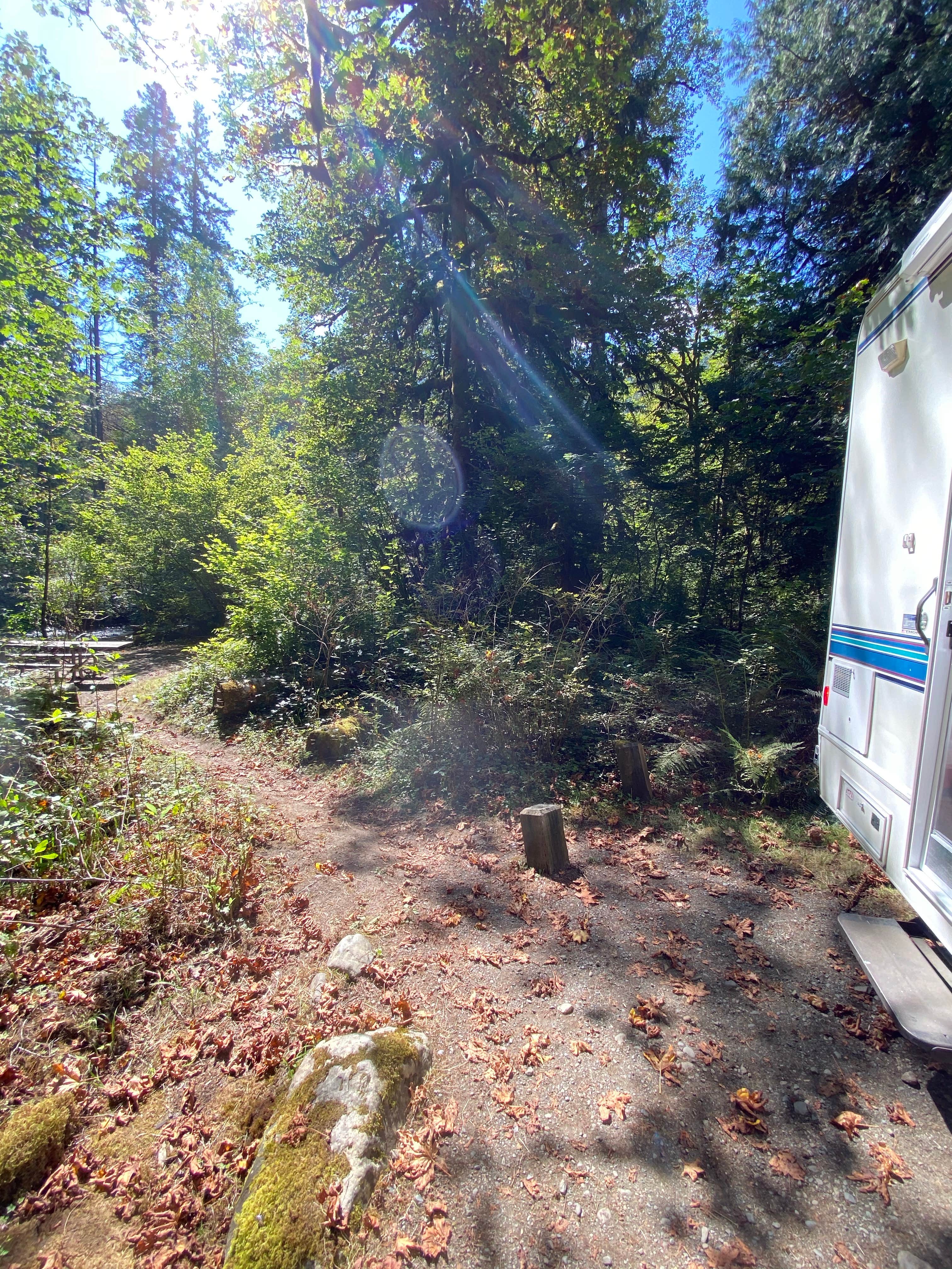 Camper-submitted photo at Collins Campground near Everett, WA