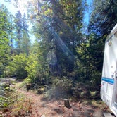 Review photo of Collins Campground by Asia M., September 15, 2020
