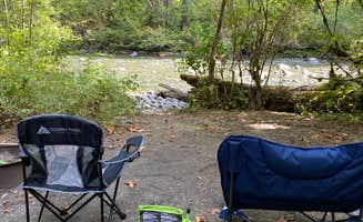 Asia M.'s photo at Collins Campground near Brinnon, WA