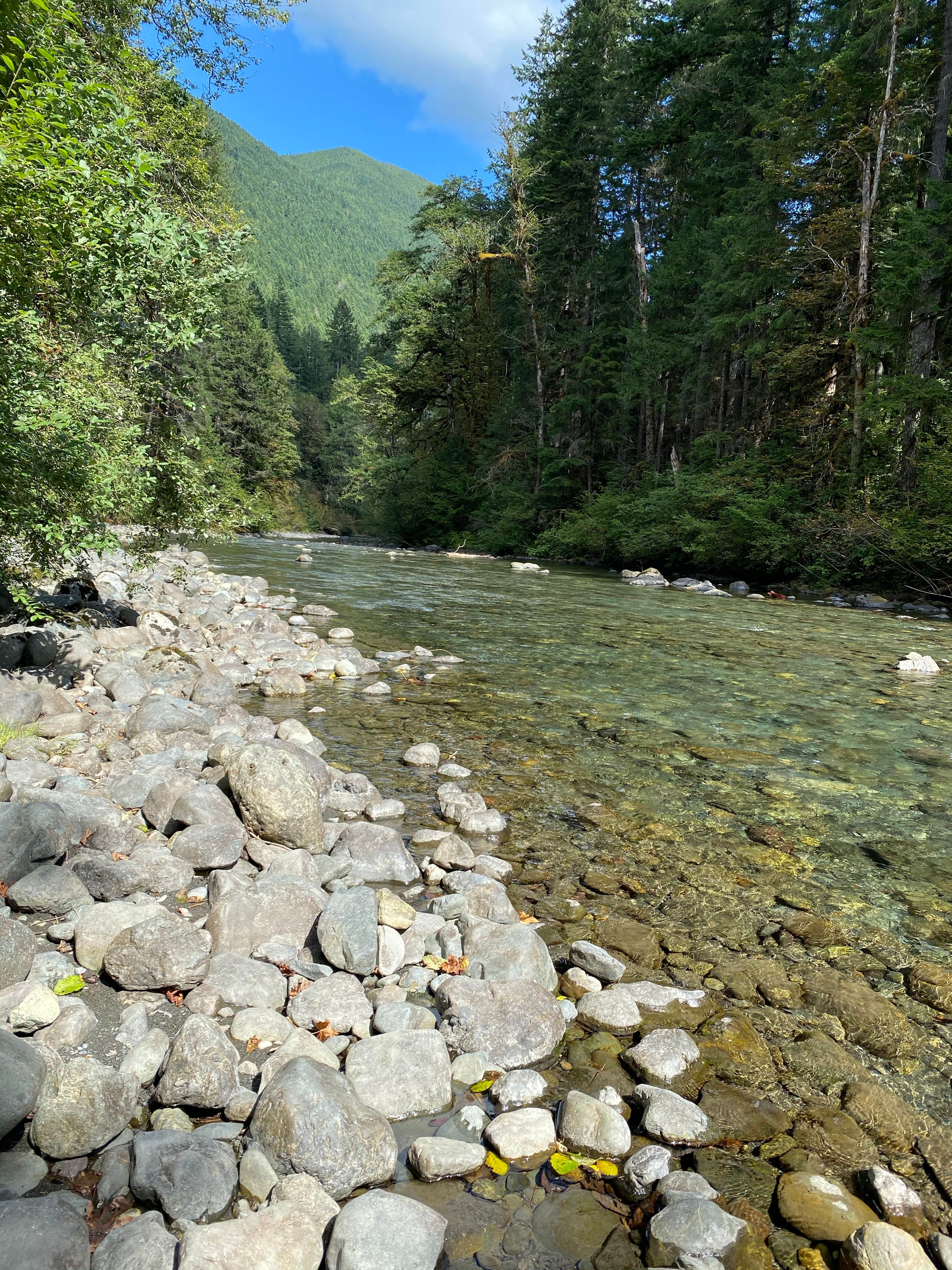 Camper-submitted photo at Collins Campground near Everett, WA
