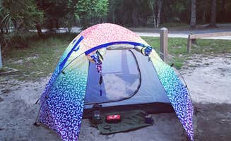 Theresa K.'s photo at Manatee Springs State Park Campground near Bronson, FL