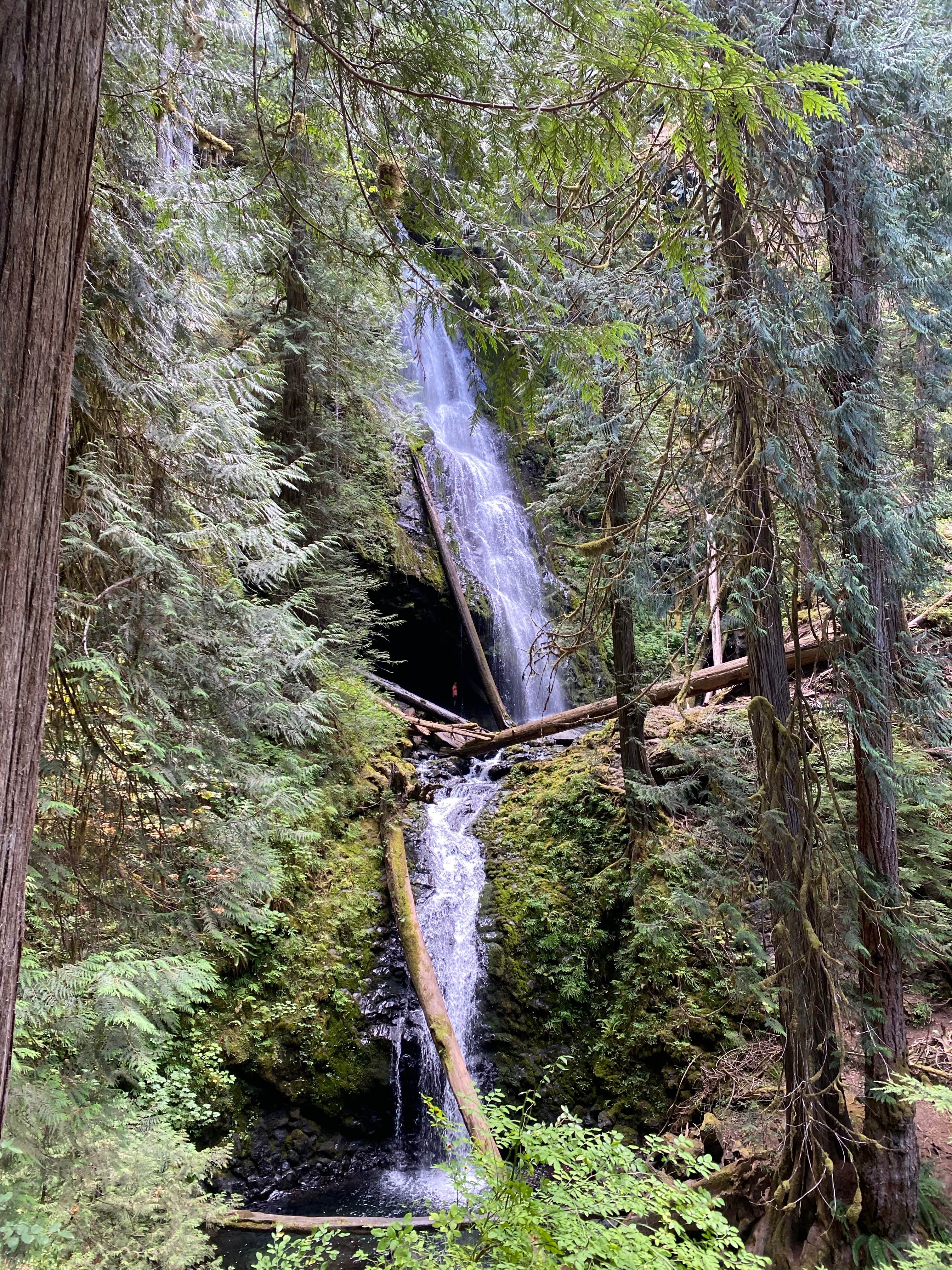 Camper-submitted photo at Collins Campground near Everett, WA
