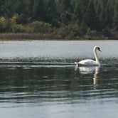 Review photo of Proud Lake Recreation Area by Debra B., September 15, 2020