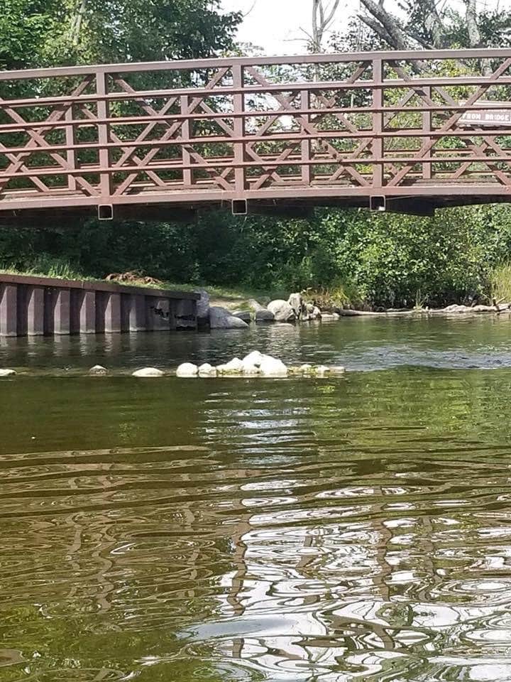 Camper submitted image from Proud Lake Recreation Area - 3