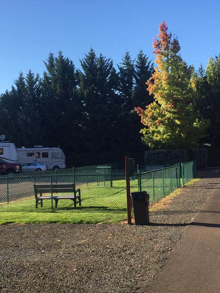 Sara H.'s photo of rv camping at Rising River RV Resort & River House near Idleyld Park, OR