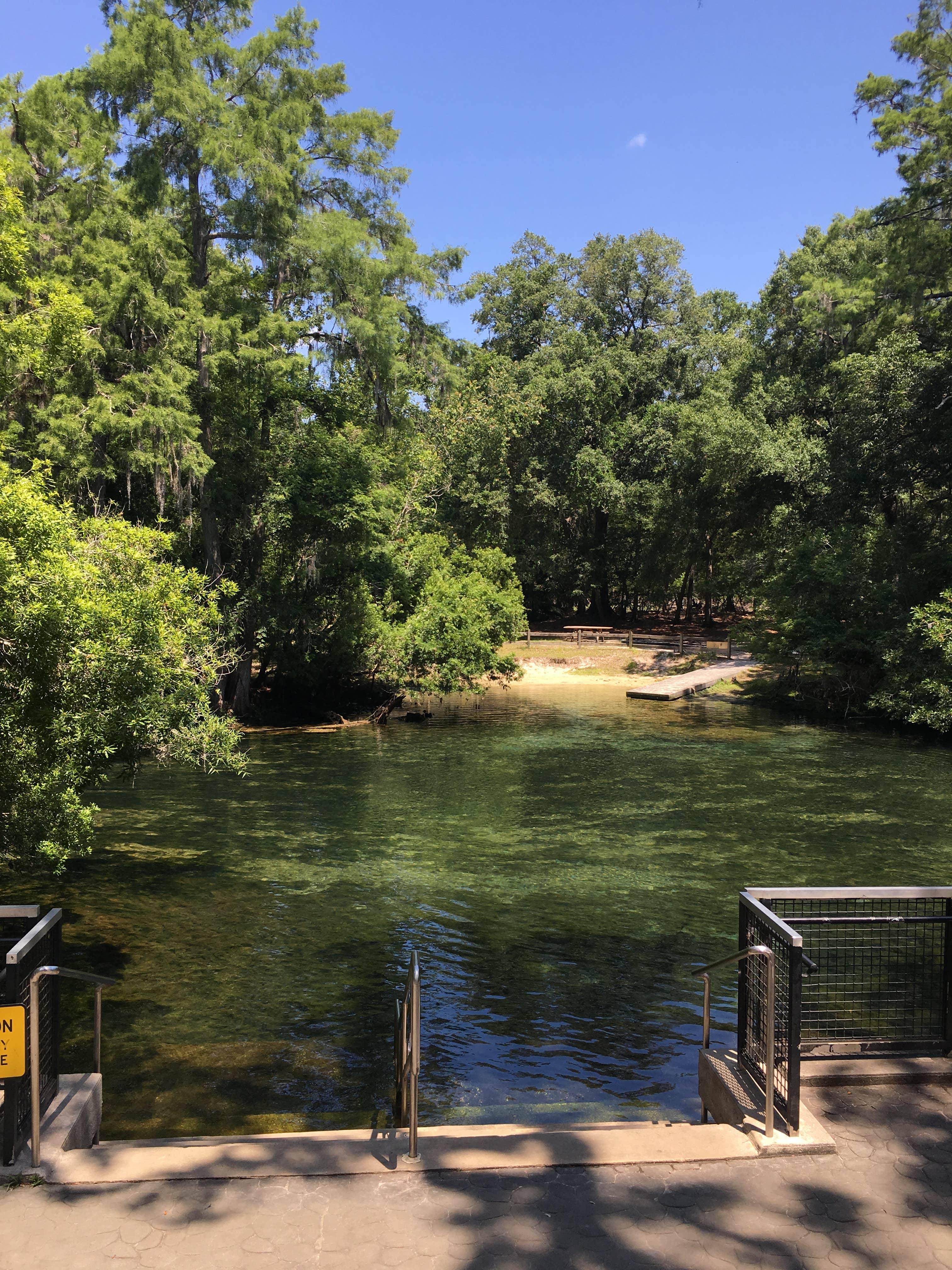 Camper submitted image from Manatee Springs State Park Campground - 4