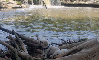 Erica H.'s photo of camping with pets at McKinney Falls State Park Campground near Pflugerville, TX