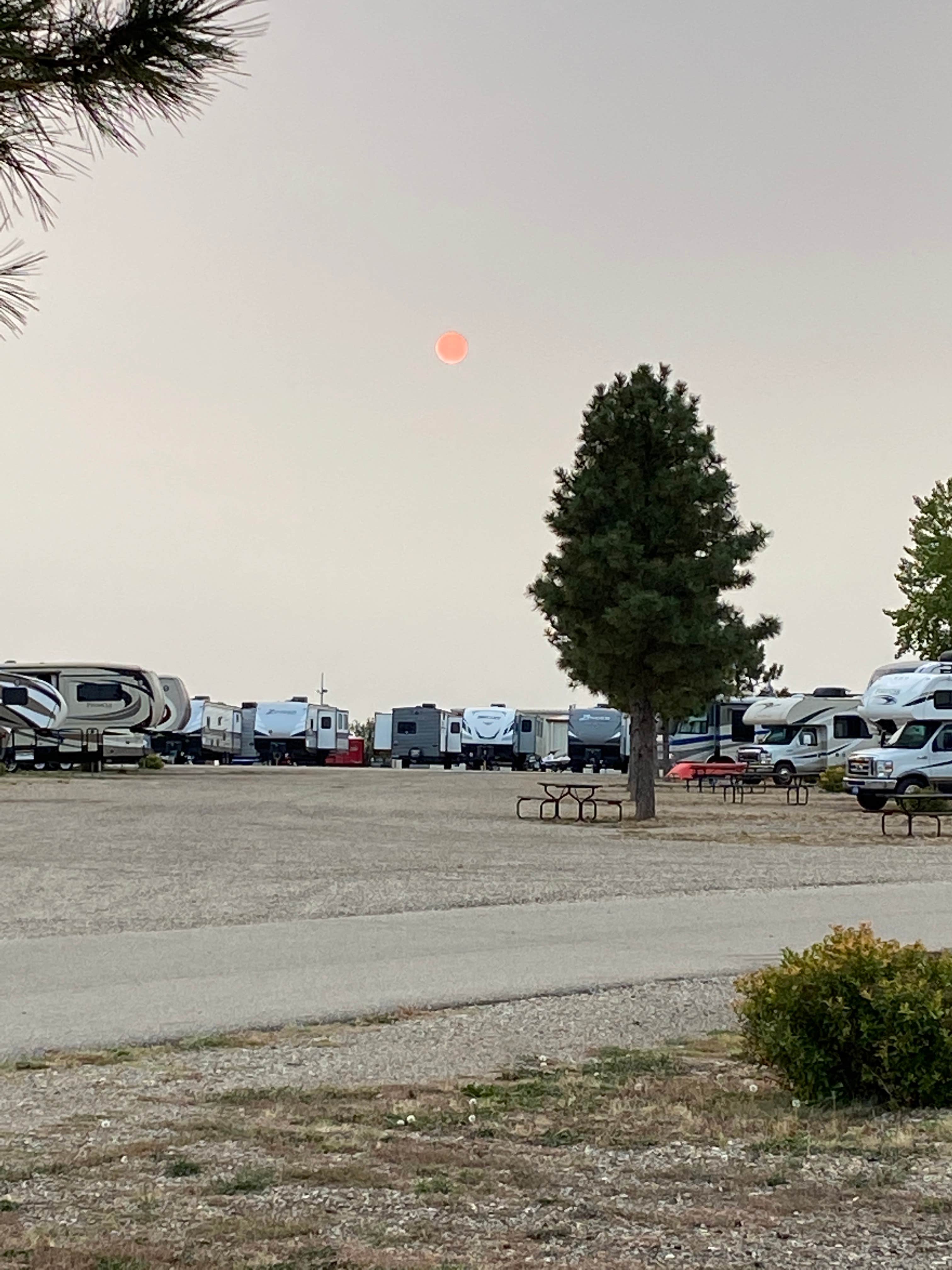 Camper submitted image from Swenson Valley View RV Park - 1