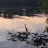 Review photo of Florence Marina State Park Campground by Rachel G., September 16, 2020