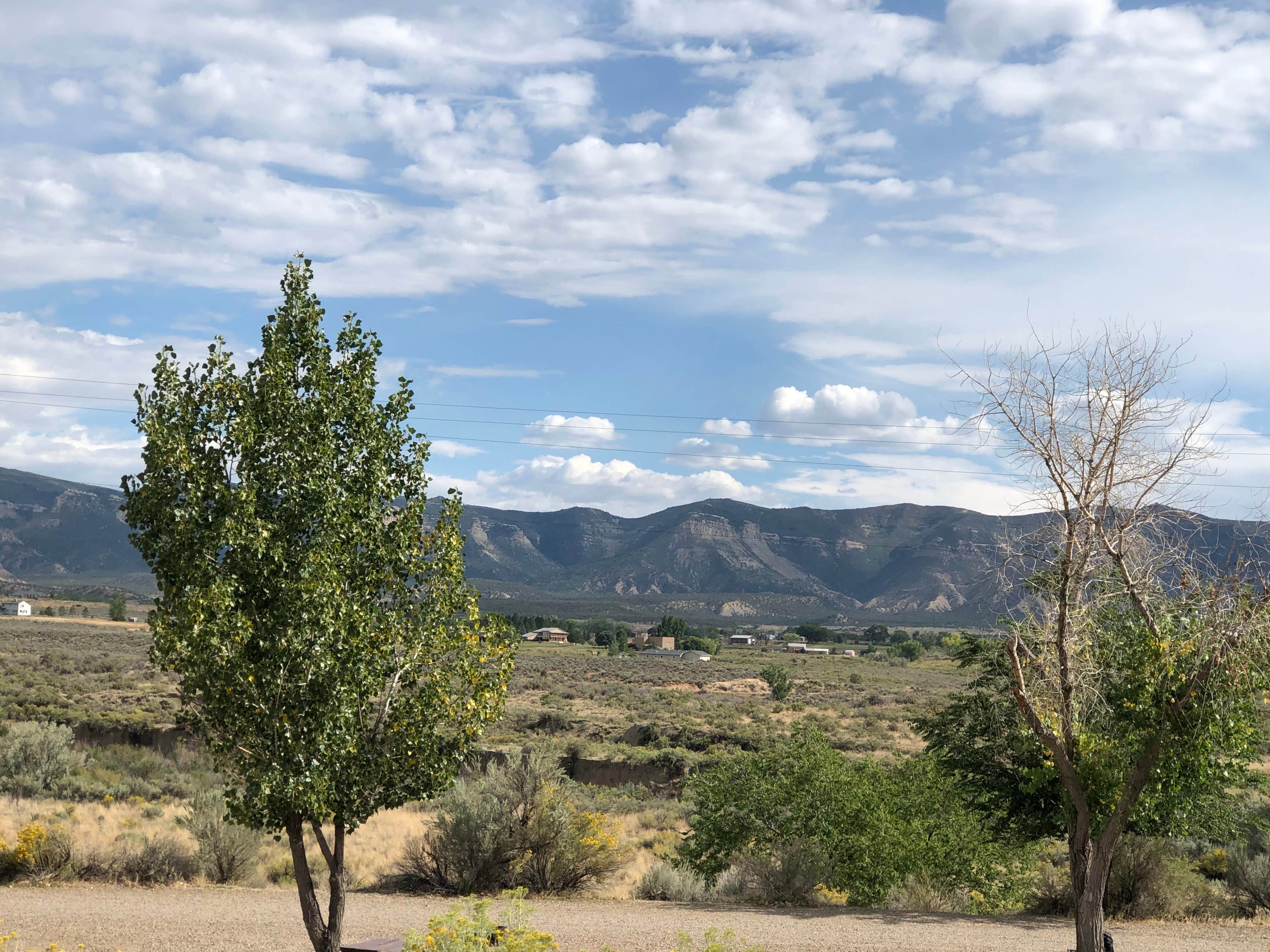 View All