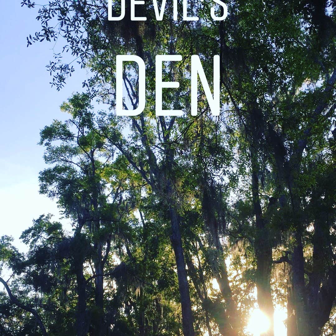 Camper-submitted photo at Devil's Den Spring near Bronson, FL