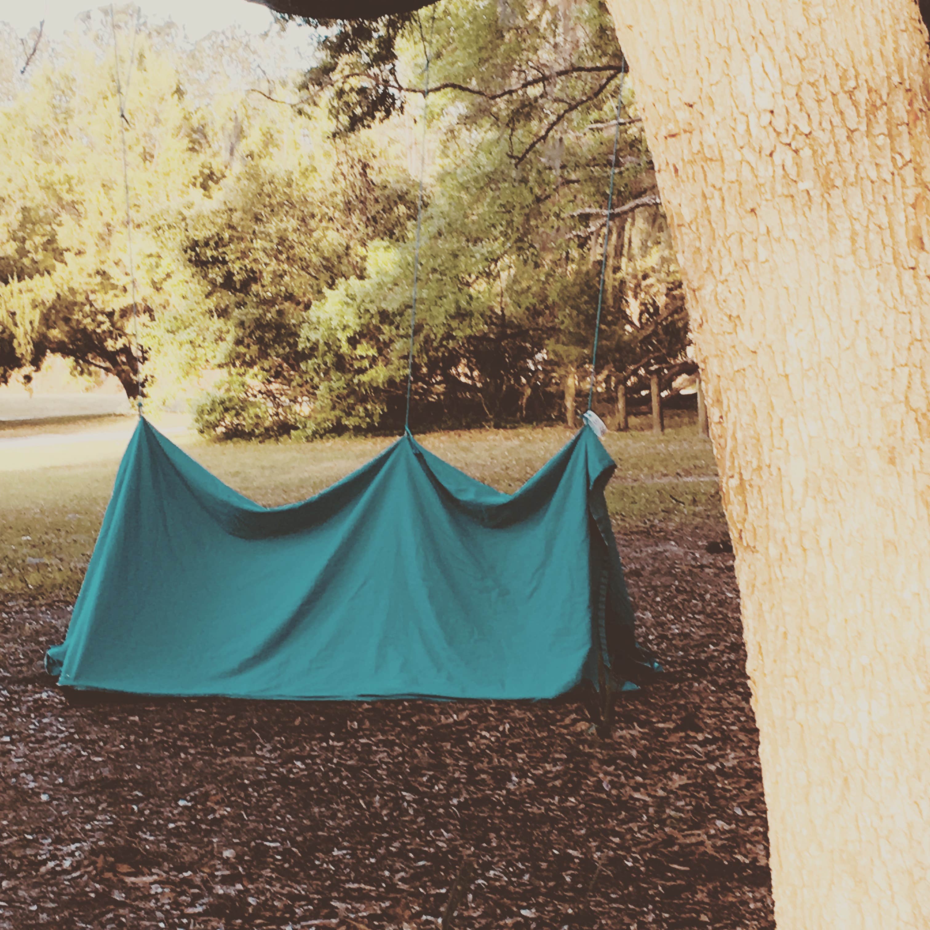Theresa K.'s photo at Devil's Den Spring near Chiefland, FL